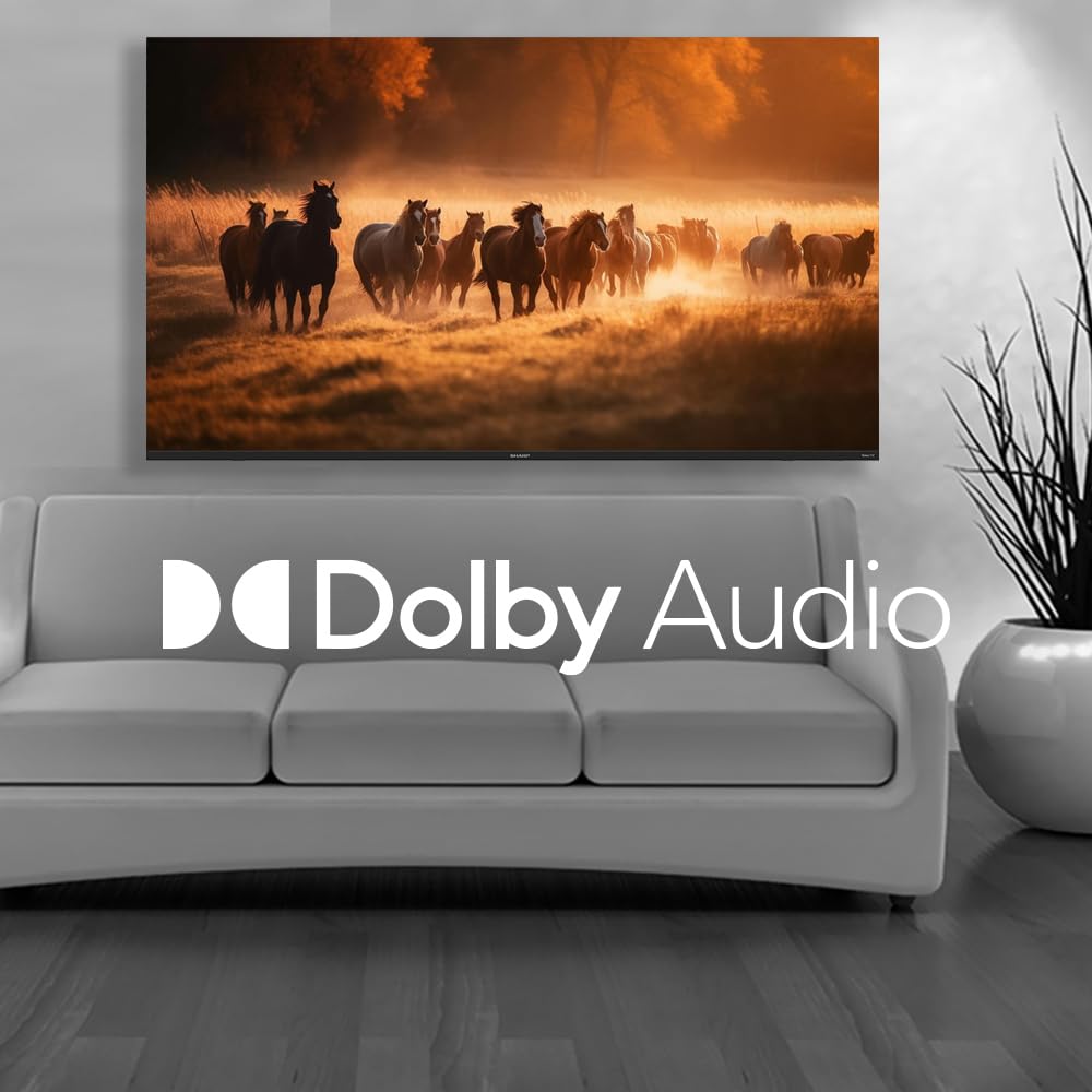 Sharp Roku Tv 4K Ultra Hd With Hdr10 (75'')